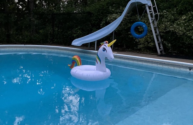 Comfort and privacy with views of the harbour! Only a short walk to downtown!