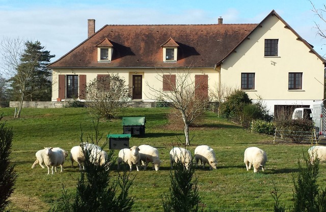 Comfortable, Spacious Gite with pool