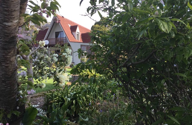 Comfortable house in stunning gardens