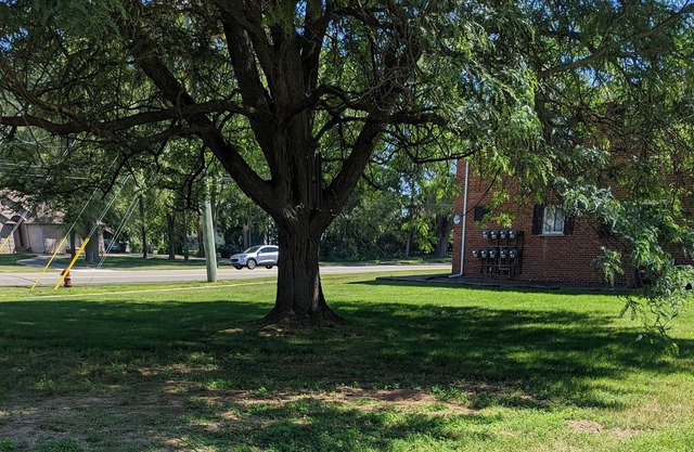 Comfy -1 Bedroom Apartment / Shelby Twp, Mi (Apt #2)