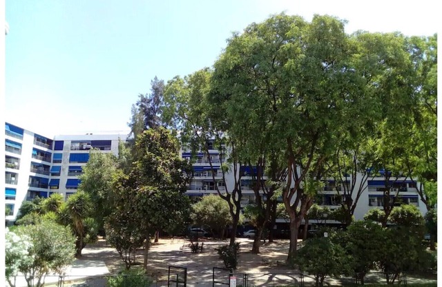 COMPLETE APARTMENT WITH TERRACE IN SEVILLA