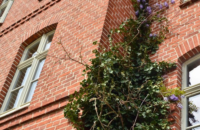 Complete guesthouse on the Finow Canal (former school from 1875) for 12 people