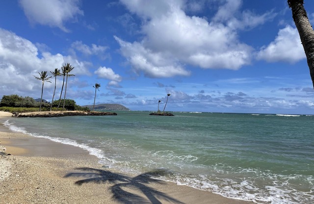 Condo on the Beach (Kahala) 1 bedroom "March & April" *Special Rates*