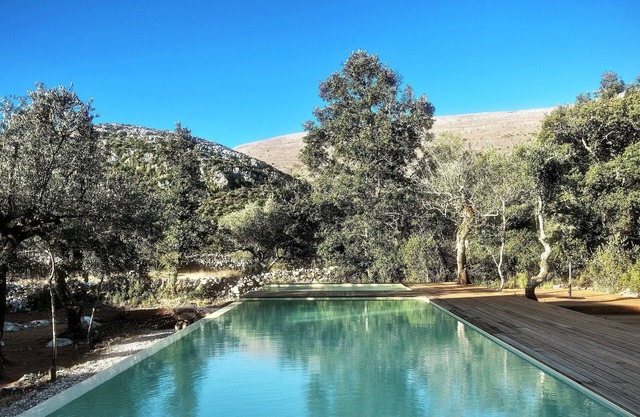 Cooking and Nature Emotional Hotel