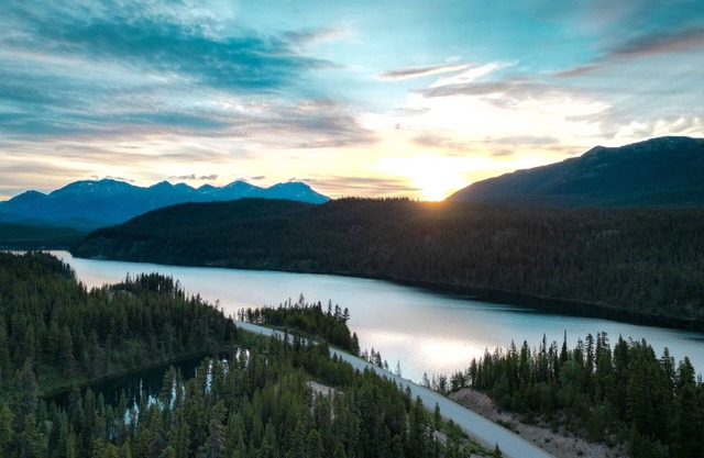 Cooks and Puppies Hideaway