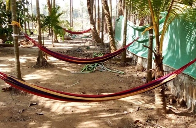 COOL & PLEASENT STAY IN NATUTRE @ DAKWE COTTAGE WITH DELICIOUS FOOD , NEAR BEACH