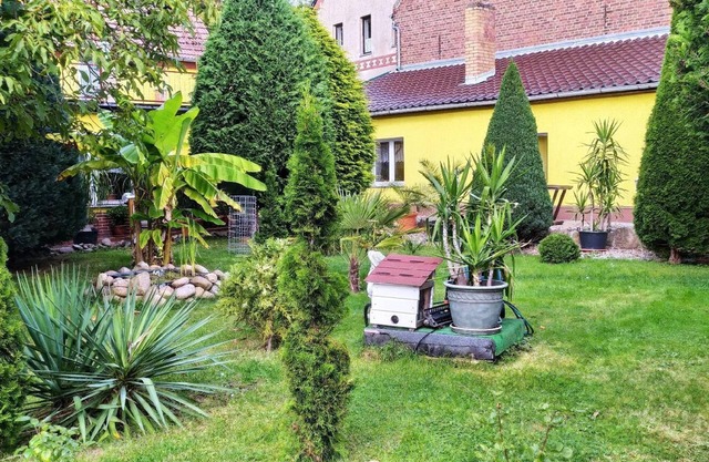 Cosy apartment with a terrace in a quiet location with many forests and lakes