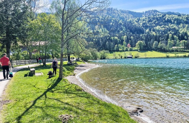 Cosy apartment in villa for 5 people with A/C, TV, terrace and pets allowed