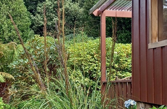 Cosy Cabin in the Huon Valley, Judbury Tasmania