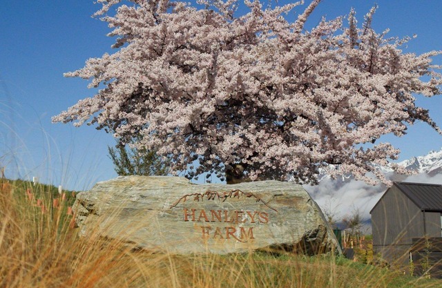 Cosy ski retreat on The Remarkables Ski Area. 5 minutes to Jacks Point Golf Club