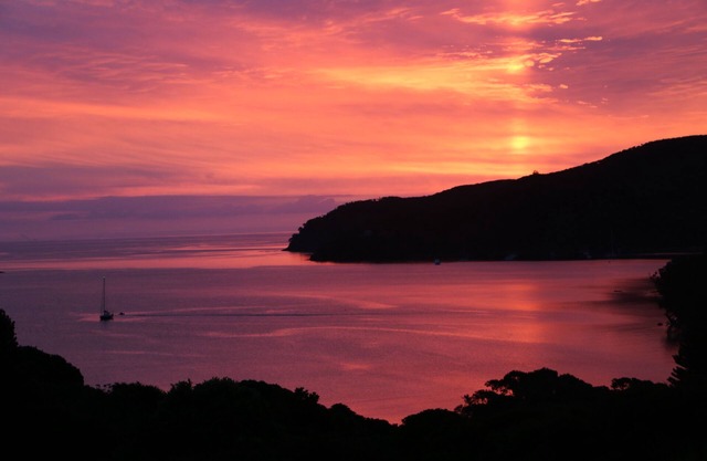 Cottage,2 Bedroom,Tryphena,Great Barrier Island.Great Location