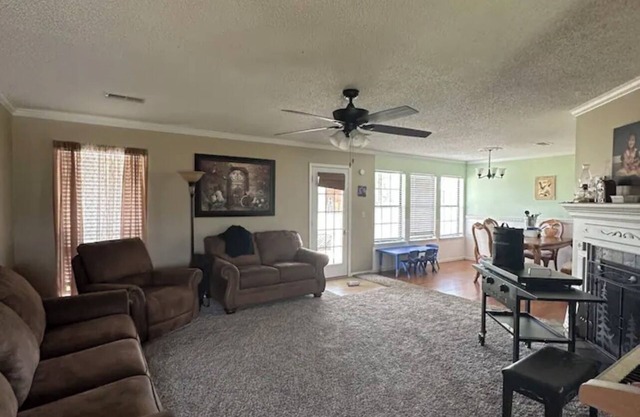 Country Living on 3 Acres!