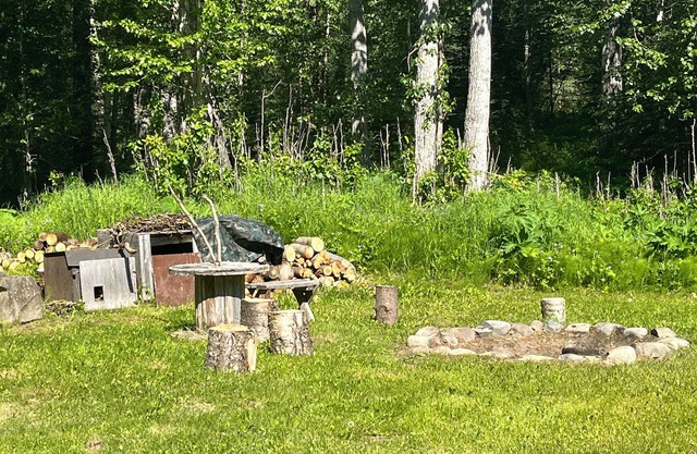 Coyote Cabin in Chickaloon with lake access