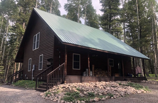 Cozy 3Bed 2Bath Cabin - Lodge/Snowmobile/UTV Rental Nearby