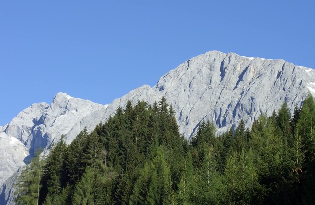 Cozy and quiet apartment with a dream view