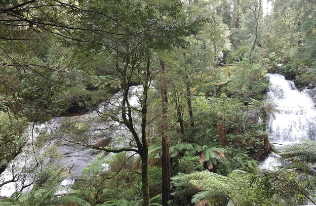 Cozy and comfortable