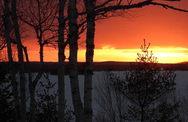 Cozy and Quiet Cottage on Mira River. Close to Sydney and Fortress Louisbourg.