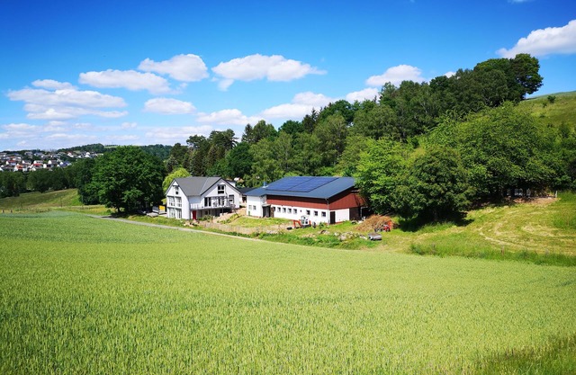 Cozy and well-equipped vacation apartment in the middle of nature