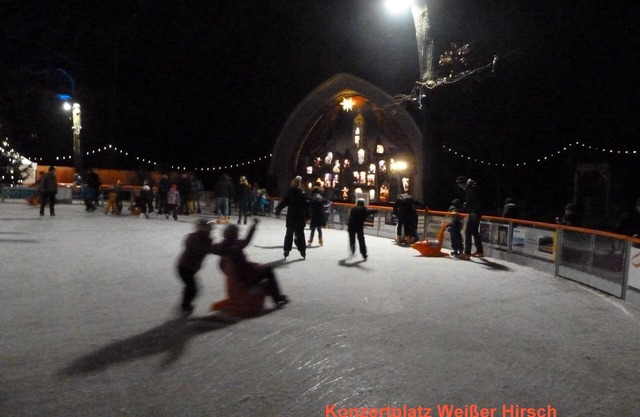 Cozy apartment for 2 people in the exclusive residential area Dresden White Stag