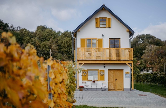 Cozy Kellerstöckl in the middle of the vineyards