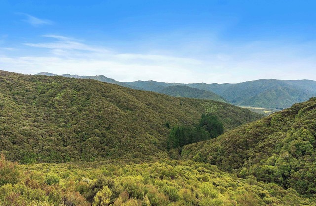 Cozy back country hunting cabin. Peace, quiet and miles of bush.