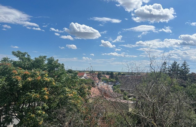 Cozy beautiful nice nature close to u1 station Oberlaa & autobahn