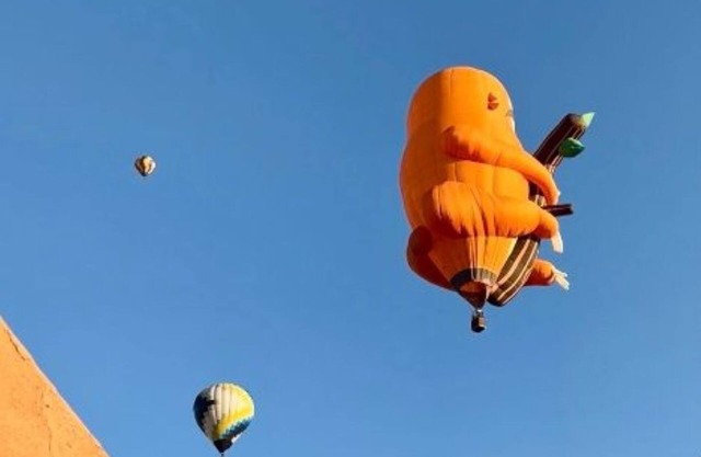 Cozy bungalow in charming Albuquerque near Balloon Fiesta Park with Mtn. Views