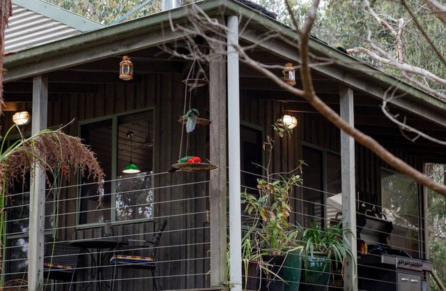 Cozy cabin in the Otway National Parkn