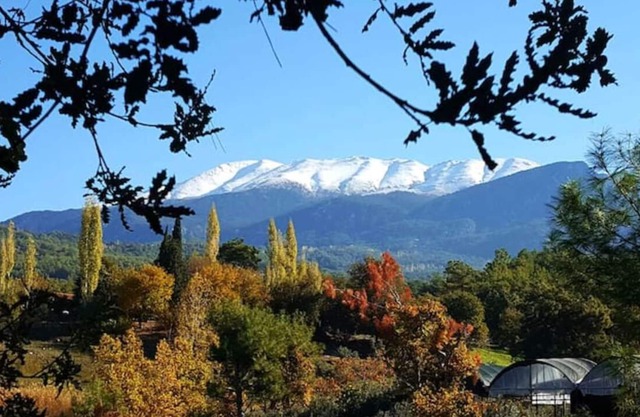 Cozy chalet with jacuzzi perfect for couples
