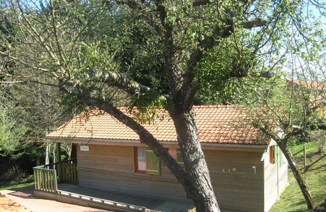 Cozy chalet with private terrace and pets allowed