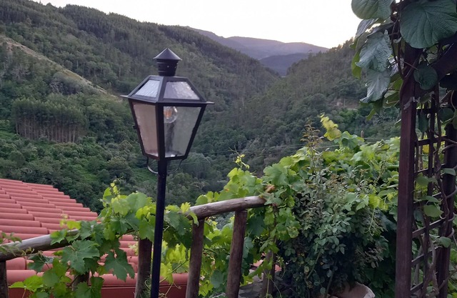 Cozy Cottage Mountain Pet-Friendly