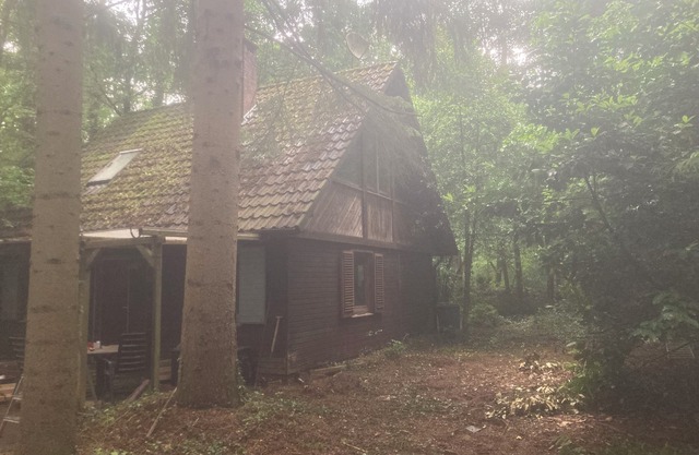 Cozy cottage on idyllic forest property * Dogs welcome 🐕🐶