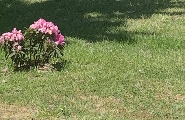 Cozy country house 5 minutes from the thermal waters of Ourense