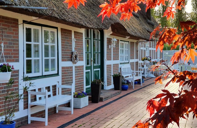 Cozy family pension with lots of space under thatched roof directly on the dike