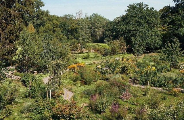 Cozy hideaway in the Taunus with a natural swimming pond