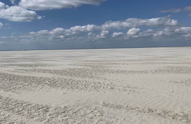 Cozy little vacation apartment right on the dike