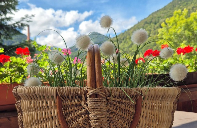 Cozy one-room apartment with a view of the mountains