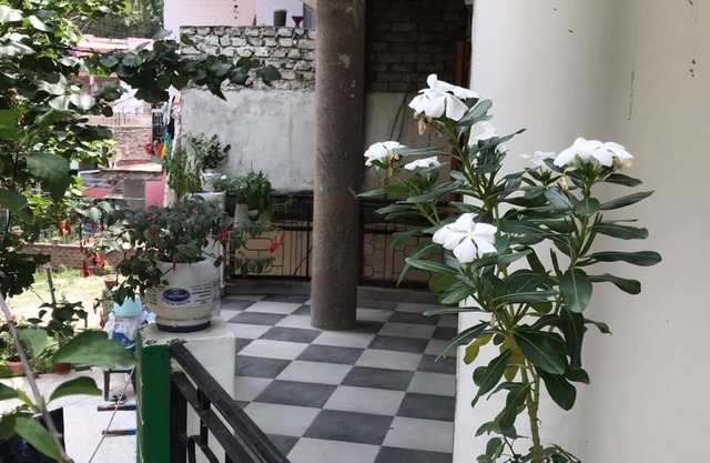 Cozy Solan Apartment With Stunning Views