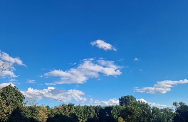 Cozy vacation home in Mecklenburg-Vorpommern with a large garden