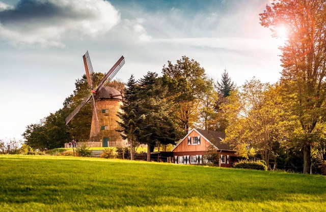 Cozy vacation home with wood-burning stove + sauna house in the garden/dogs welcome