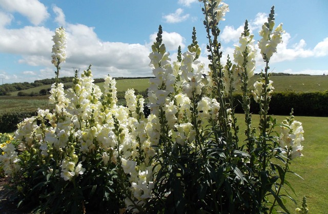 Craig Eithin B & B Holyhead