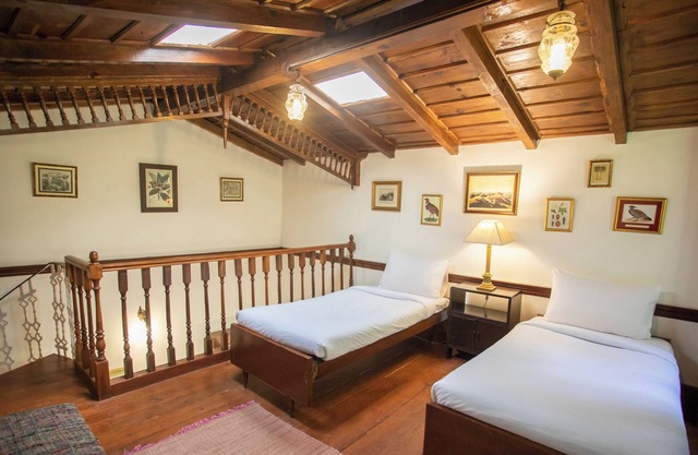 Cuckoo, Seclude Taradale