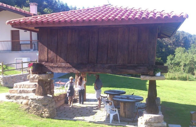 Cuélebre loft located in the middle of nature, connected and in the center of Asturias