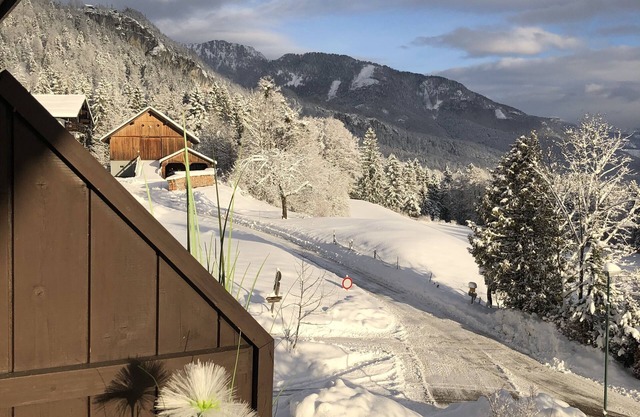 Deluxe apartment Goisernperle