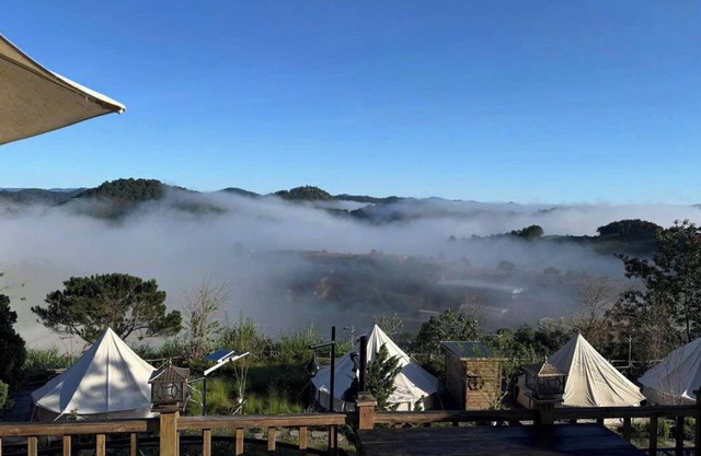 DaLart Glamping & Coffee