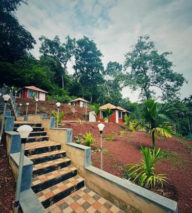 Dandeli Jungle Majestic