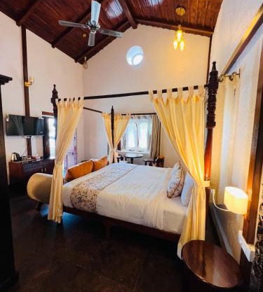 Dandelion By The Hills