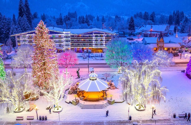 Das Tree Haus 1 Bedroom Home by NW Comfy Cabins by RedAwning