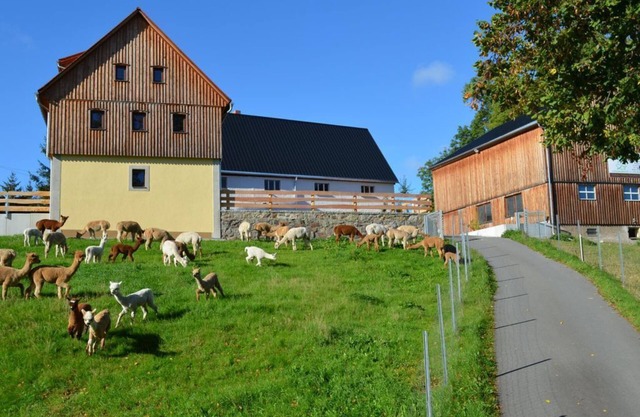 Vacation home Alpaka Glück - Holiday home