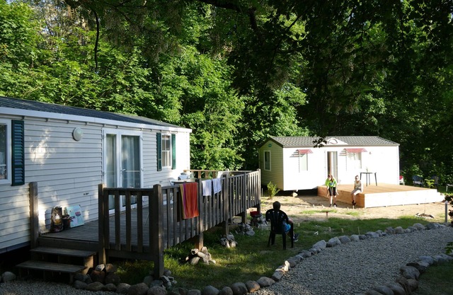 Cucumbers time again in the Spreewald
